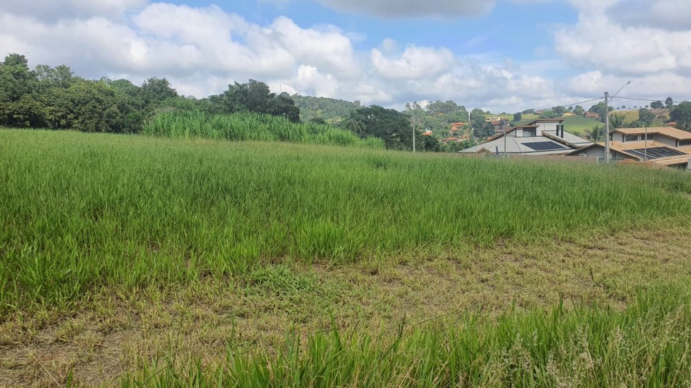 Terreno - Venda - Serrinha - Bragana Paulista - SP