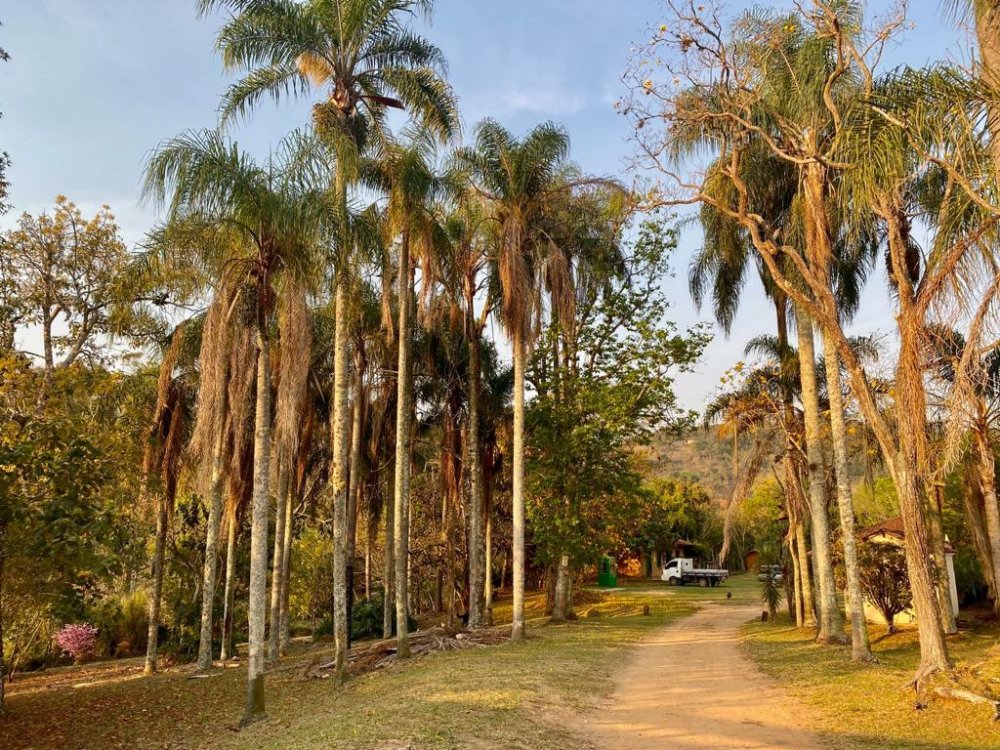 Chcara - Venda - Serrinha - Bragana Paulista - SP