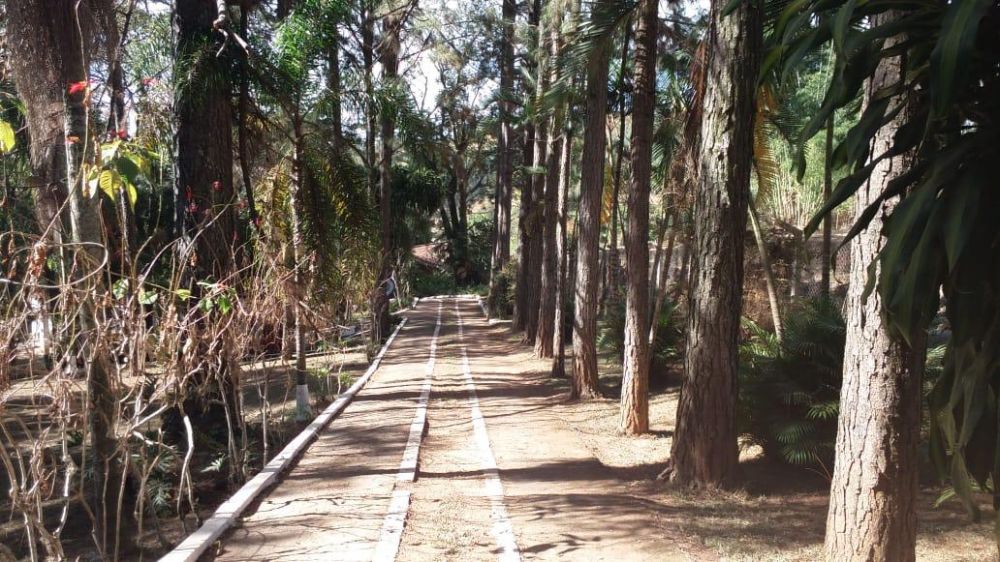 Chcara - Venda - CHACARA FERNAO DIAS - ATIBAIA - SP